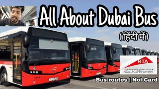 All about DUBAI BUS 🚍| Dubai Nol card | Dubai Public Transport | Bus Routes